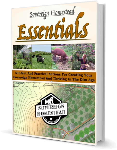 https://thesovereignhomestead.com/wp-content/uploads/2023/02/Sovereign-Homestead-Essentials-Book-Cover-Image-Transparent-Background.png