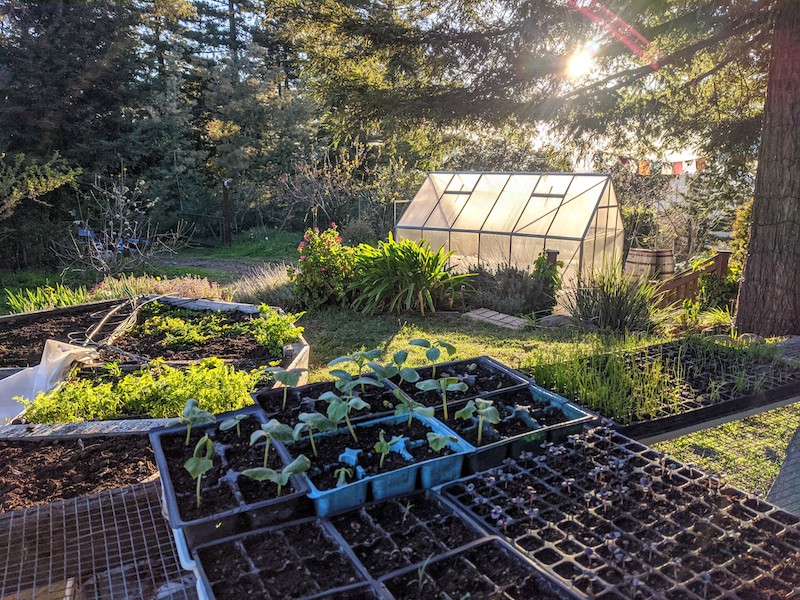 Online Permaculture Site Consultation